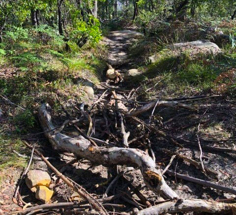 central coast mountain bike trails