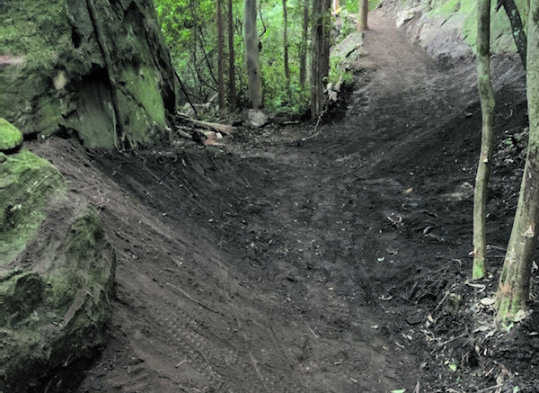 central coast bike tracks