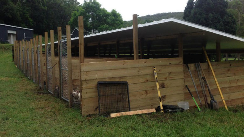 Unauthorised outdoor dog kennels approved in secret Central