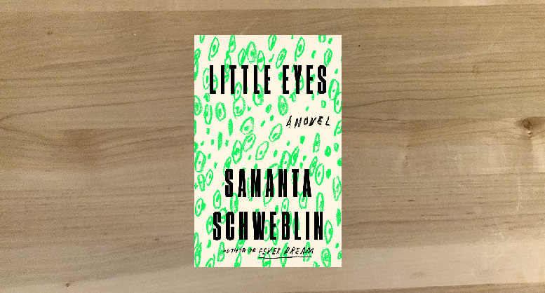 little eyes book little eyes book