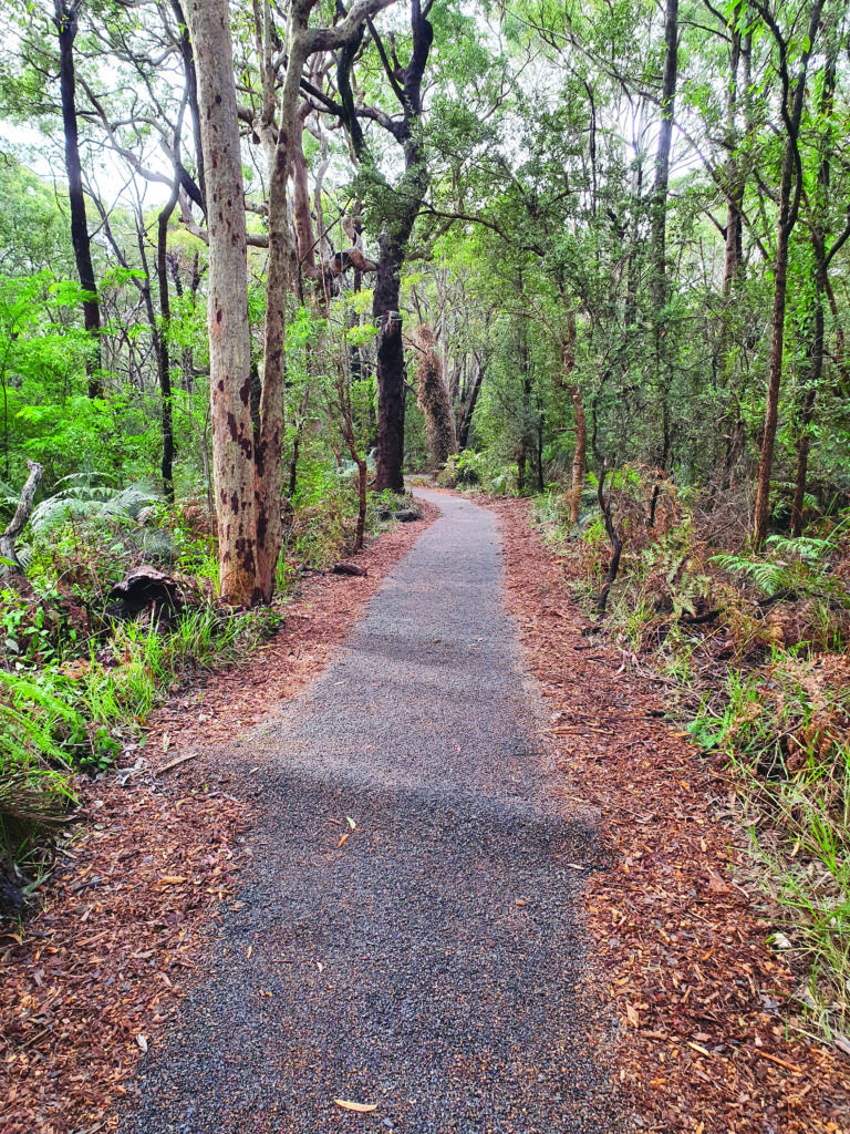 Walking track reopens after 12-week upgrade - Central Coast Community News