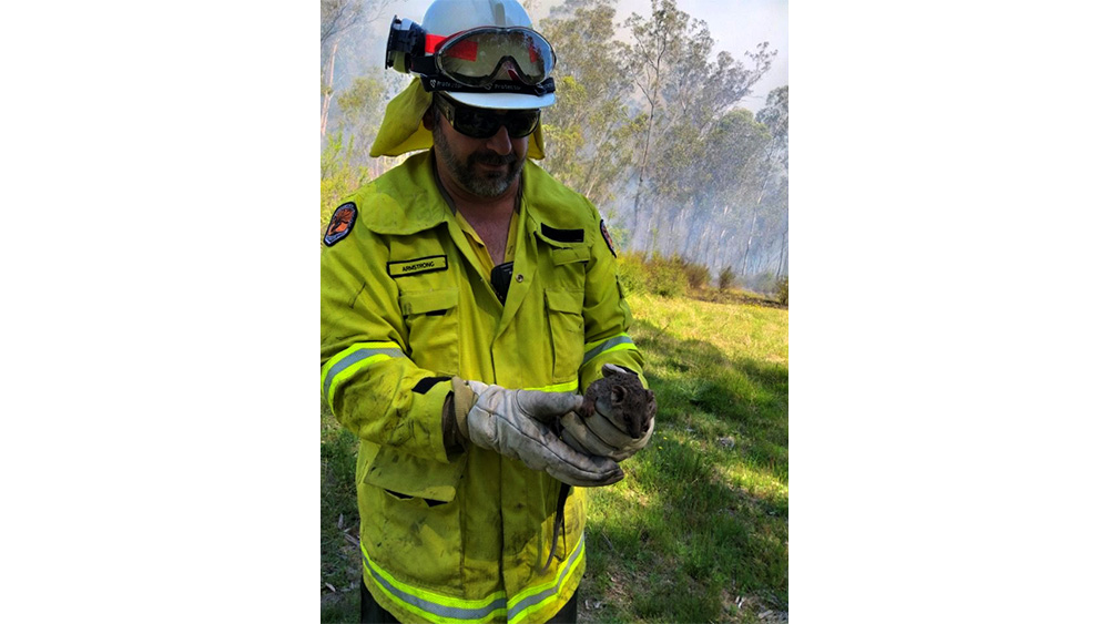 Firefighters trained to assist wildlife - Central Coast News