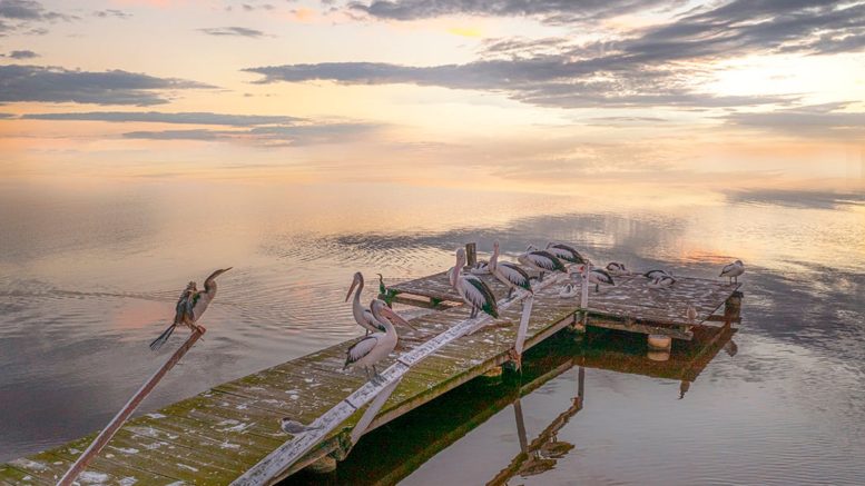 What's On  The Long Jetty Hotel