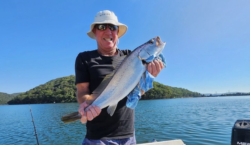 What a whopper fish! - Central Coast News