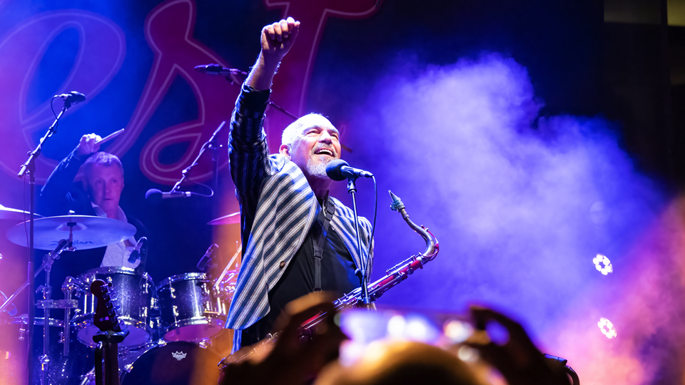 Black Sorrows: this Wednesday at The Art House