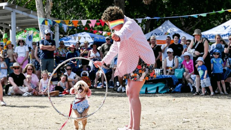 Canines shine in fun and famboyant dog show