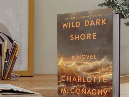 Wild Dark Shore by Charlotte McConaghy