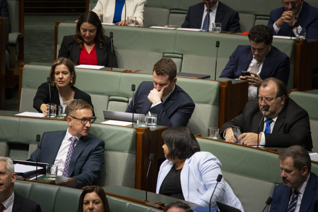 Can a Central Coast voice be heard in a crowded parliament?