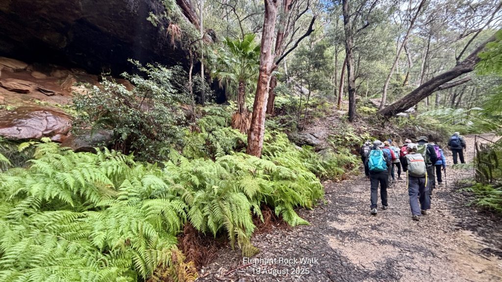 Weekday Walkers are lapping up Spring